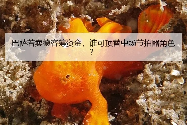 ba-sa-ruo-mai-de-rong-chou-zi-jin-shui-ke-ding-ti-zhong-chang-jie-pai-qi-jue-se-2-978.jpg
